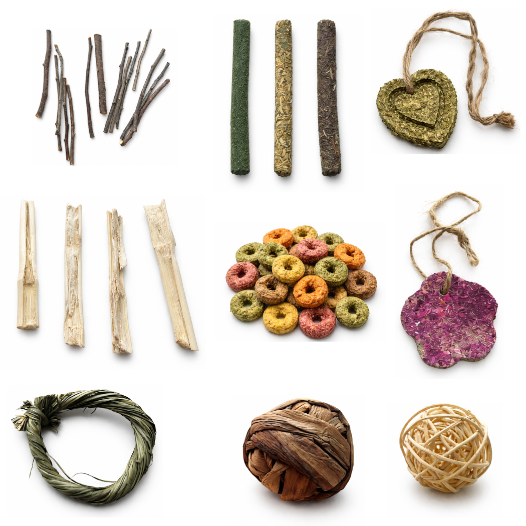 Wheeks & Treats Guinea Pig Box