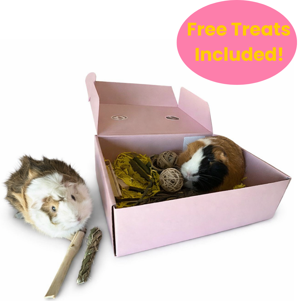 Wheeks & Treats Guinea Pig Box